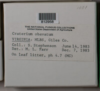 Image Associated With the Occurence